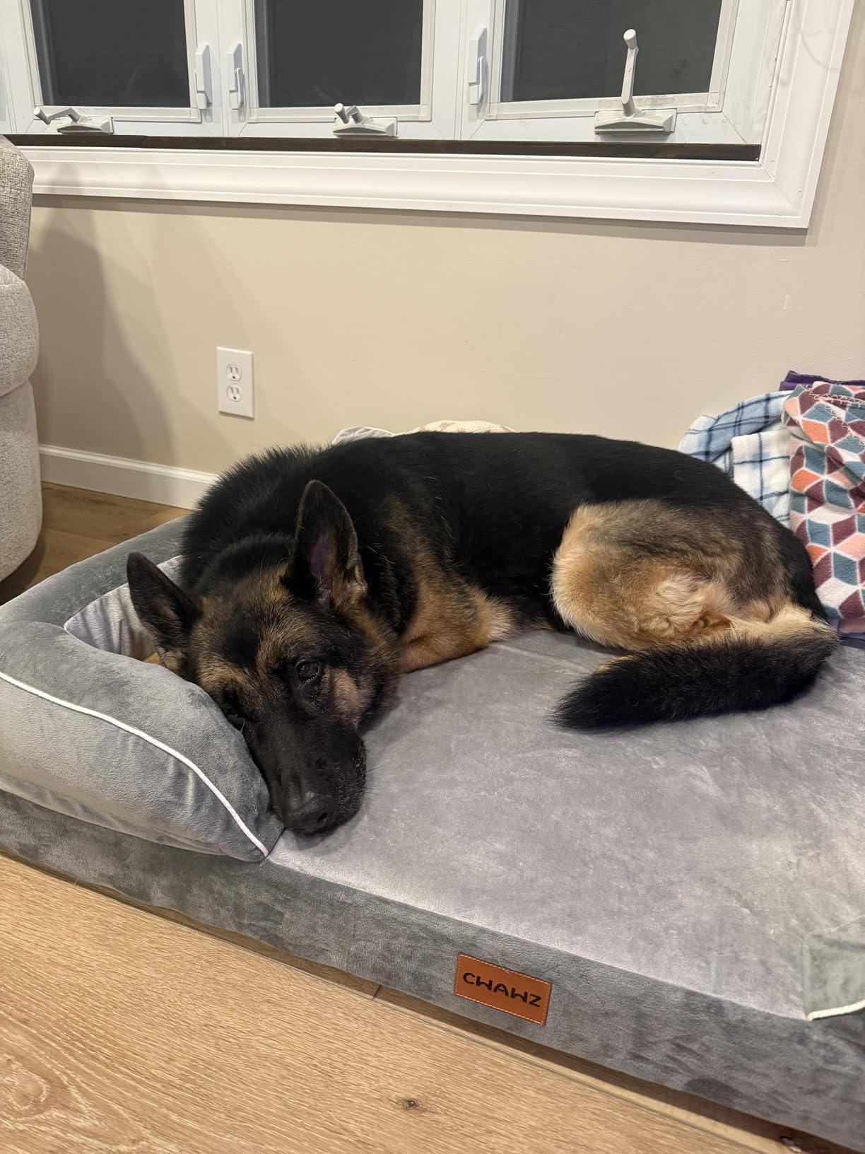 CWAWZ Extra Large Dog Bed, Orthopedic XL Dog Bed with Cooling Gel Memory Foam, Waterproof Pet Bed with Removable Washable Cover, 42