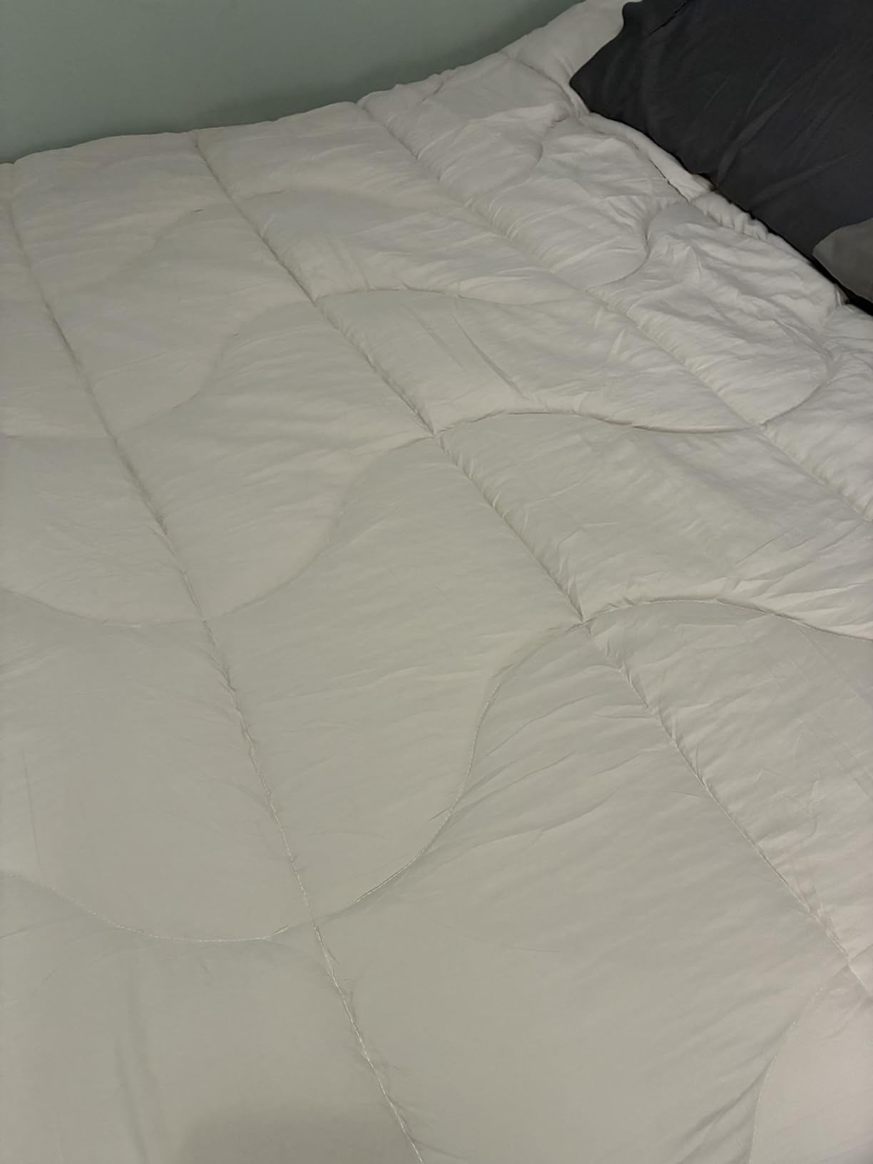 Bedsure Queen Comforter - Comforters Queen Size for All Season, Ultra-Soft Down Alternative & Prewashed Duvet Insert with 4 Tabs - Machine Washable, Linen, 88x88 Inches customer photo 1