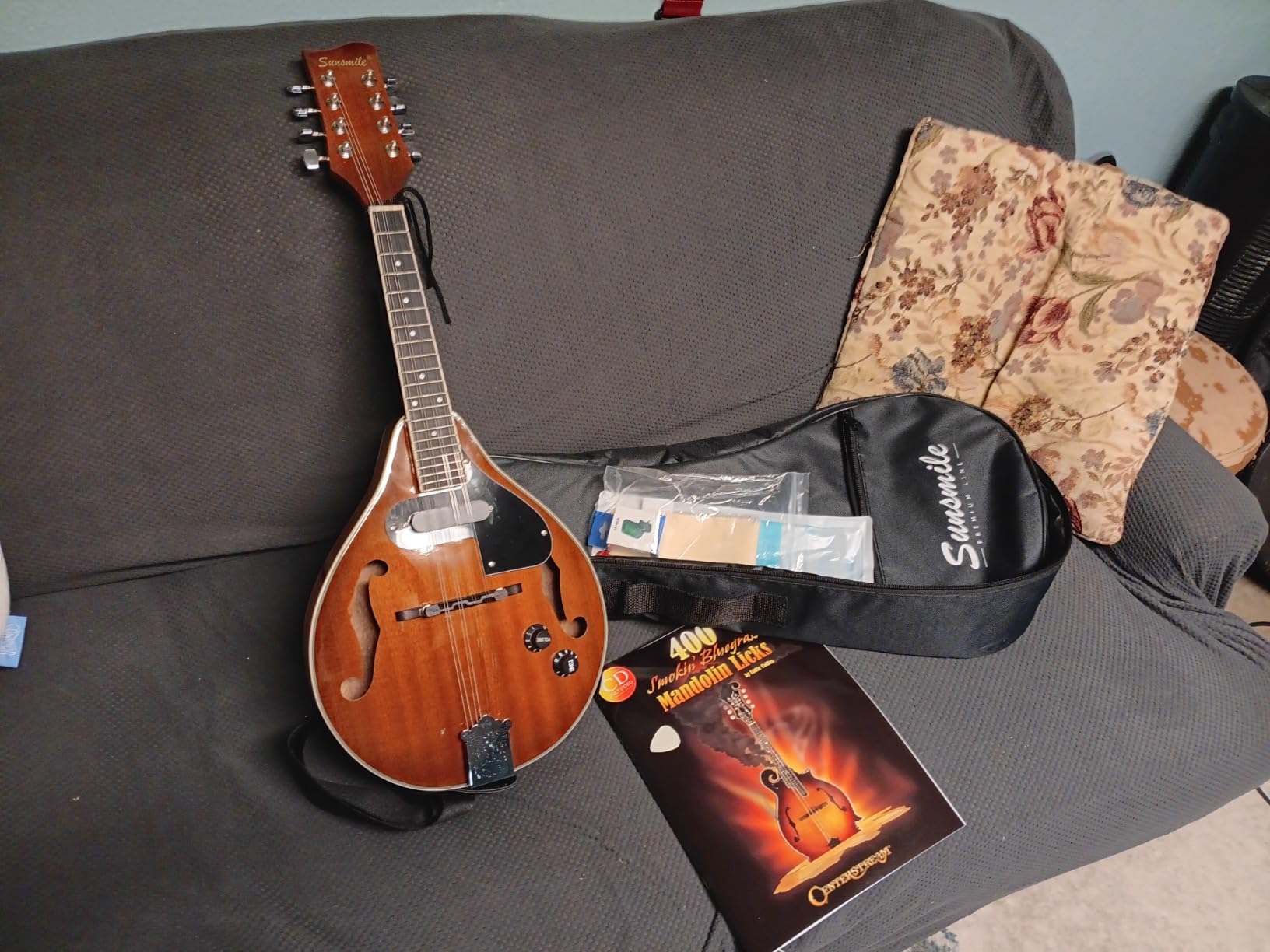A-Style 8 String Acoustic-Electric Mandolin Instrument with Pickup Sapele Top Arched F Holes Body Okoume Neck Walnut Bridge with Gig Bag, Cable, Tuner, Strings, Strap, Picks and Polish Cloth. customer photo 1
