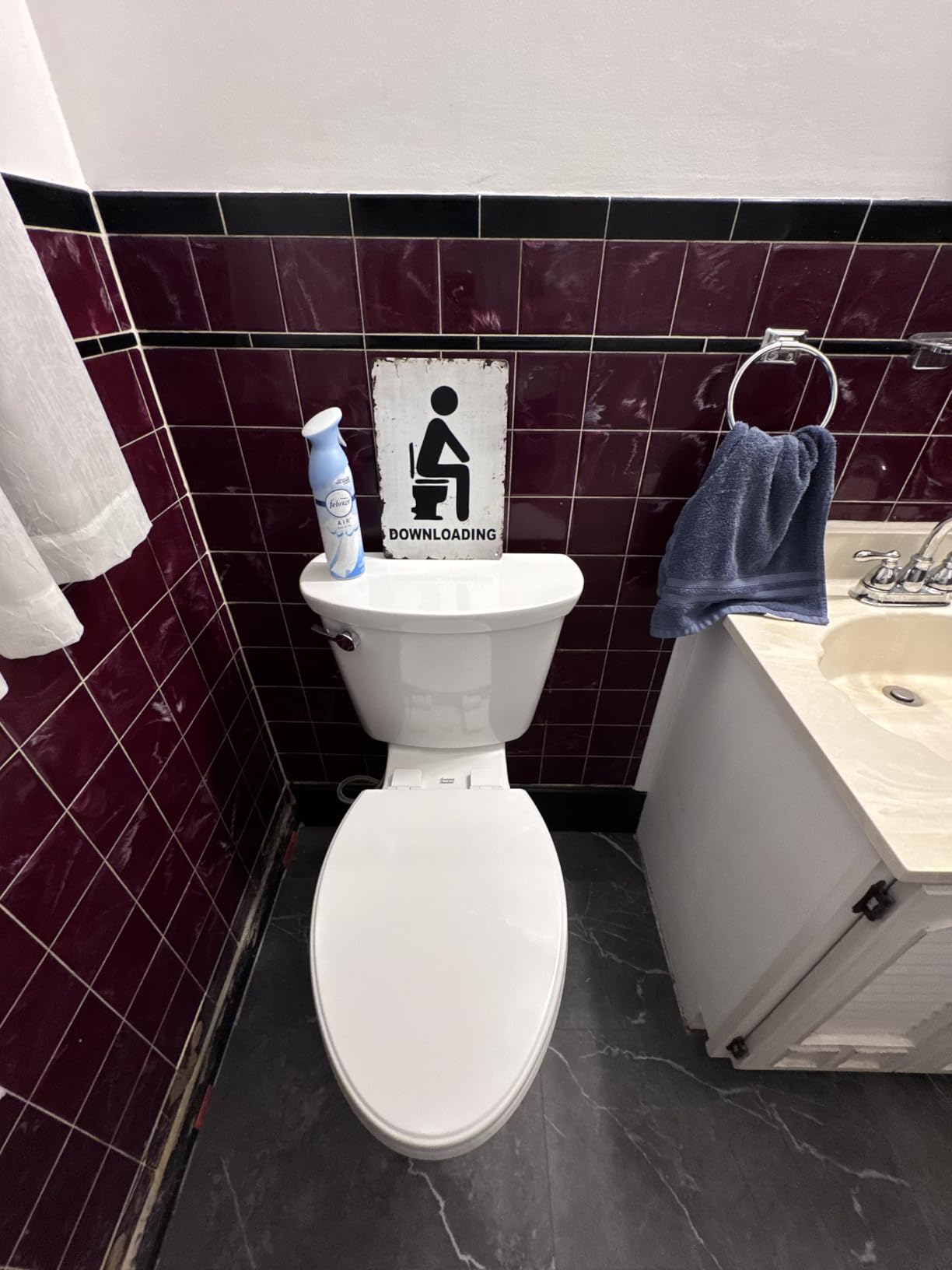 American Standard 215TA104.020 Cadet PRO Two-Piece Toilet, Extra Tall Height, Left-Hand Trip Lever, 12-Inch Rough, Elongated Front, White, 1.28 GPF customer photo 2