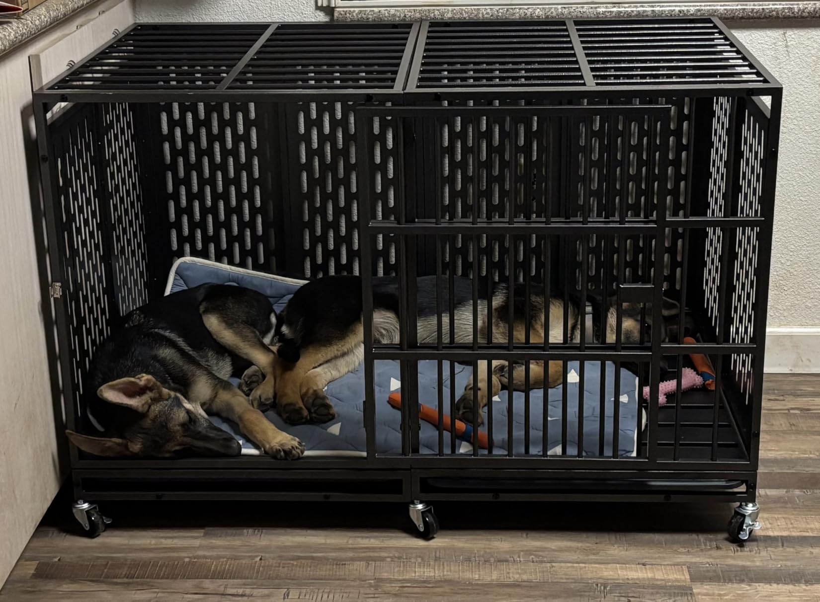 Snuowu 38 Inch Heavy Duty Dog Crate with Wheels, Folding Metal Big Dog Cage for Large and Medium Dogs, Extra Large XL XXL Indestructible Dog Crate with Removable Tray customer photo 1