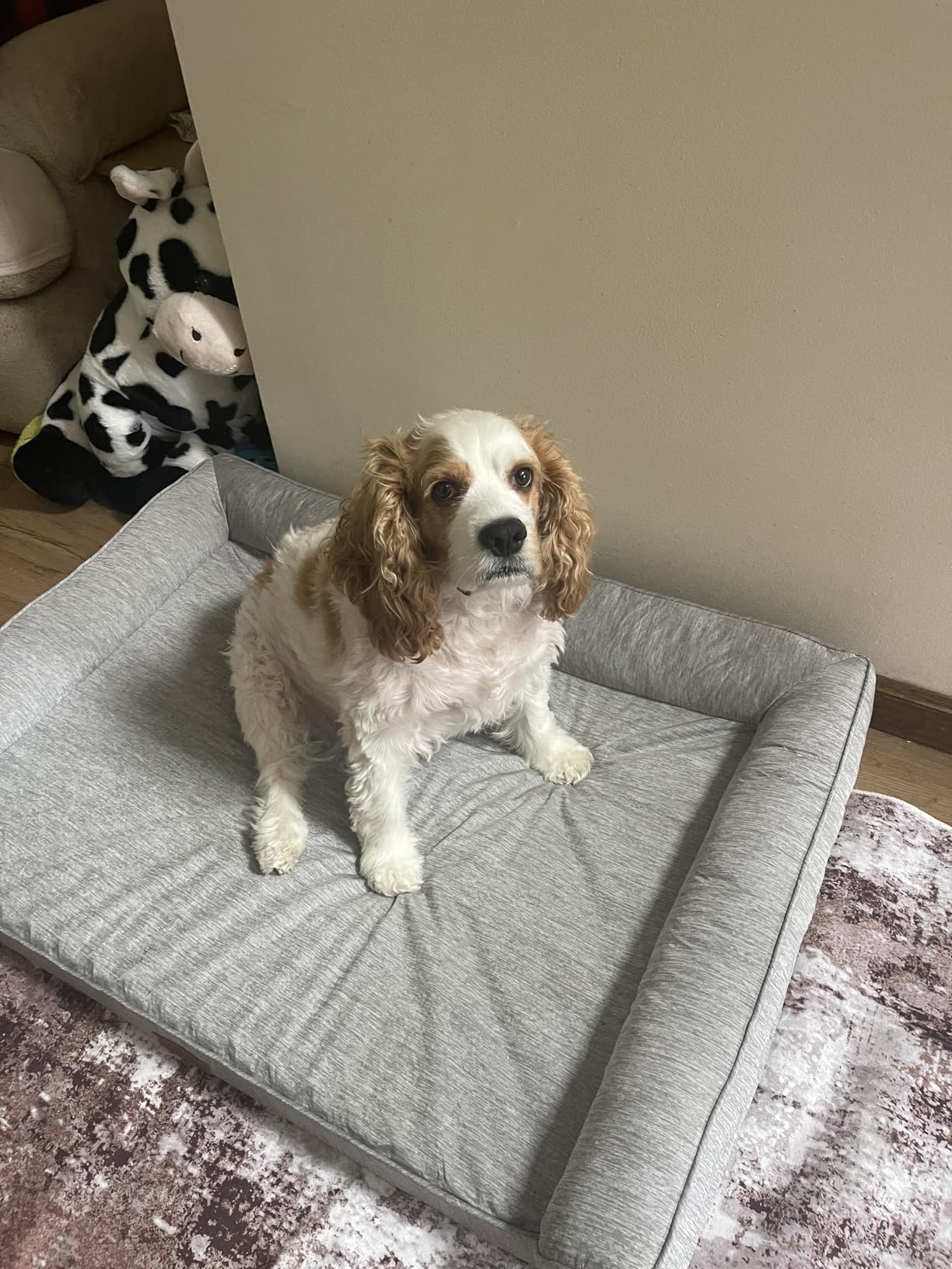 COZY KISS Cooling Dog Bed for Extra Large Dogs, 48