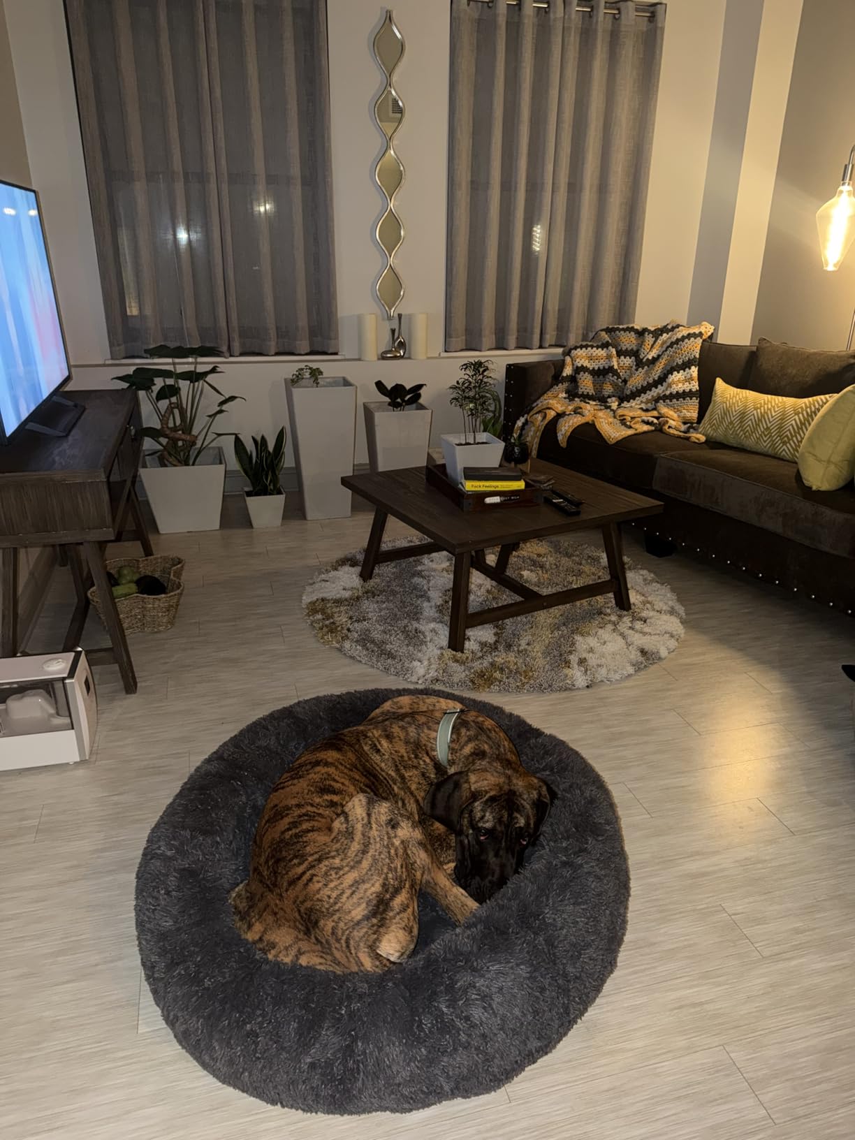 Bedsure SupportMax Calming Dog Beds Large Sized Dog - 36in Donut Washable Large Pet Bed, Anti-Slip & Removable Cover, 420GSM Round Anti-Anxiety Fluffy Plush Faux Fur Bed, Fits up to 80 lbs Pets customer photo 1
