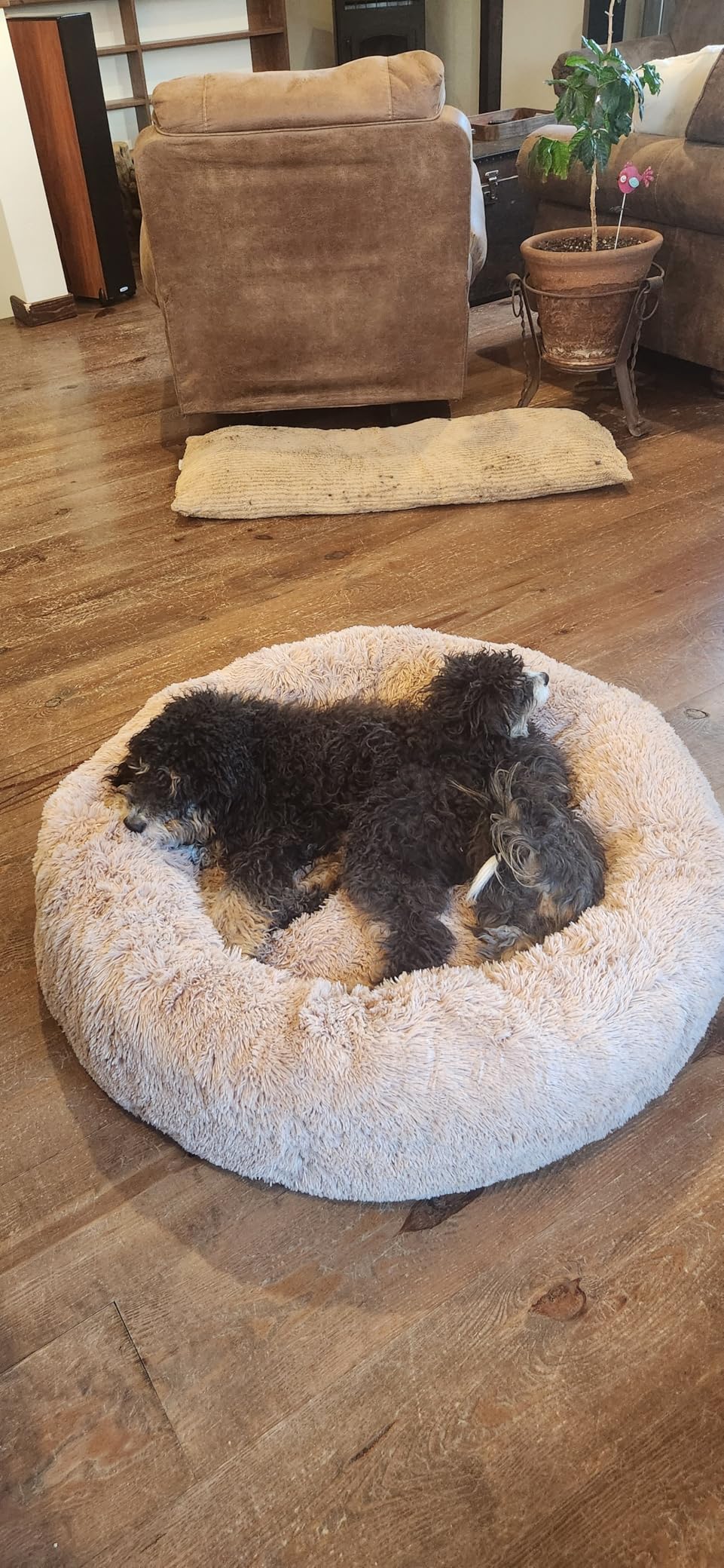 Bedsure SupportMax Calming Dog Beds Large Sized Dog - 36in Donut Washable Large Pet Bed, Anti-Slip & Removable Cover, 420GSM Round Anti-Anxiety Fluffy Plush Faux Fur Bed, Fits up to 80 lbs Pets customer photo 2
