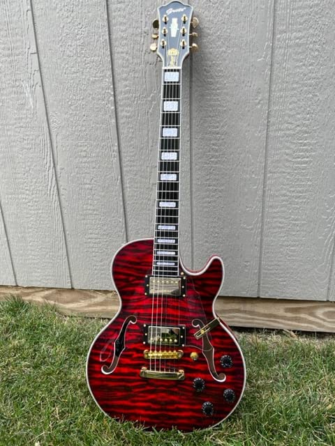Grote LPF-001 Semi-Hollow Body Electric Guitar Coils Splitting with Gigbag (Black) customer photo 1
