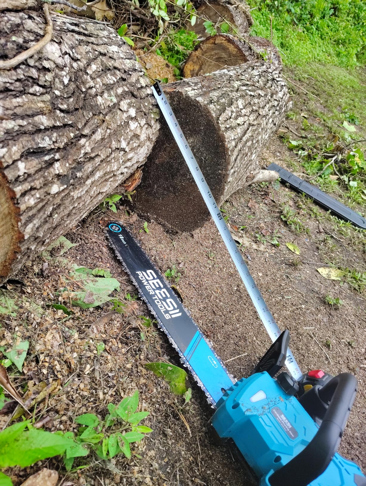 SEESII 40V 18-Inch Cordless Chainsaw with 2 x 5.0Ah Batteries & Fast Chargers, 2200W Brushless Battery Powered Chain Saw, Auto-Oiling for Tree Felling and Wood Cutting customer photo 1