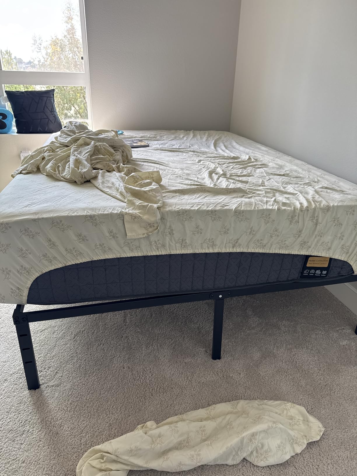 14 inch Extra Firm Mattress Queen, Hybrid Mattress with Back and Lumbar Hip Support, Fiberglass Free, 365 Nights Trial, 10 Years Warranty customer photo 2