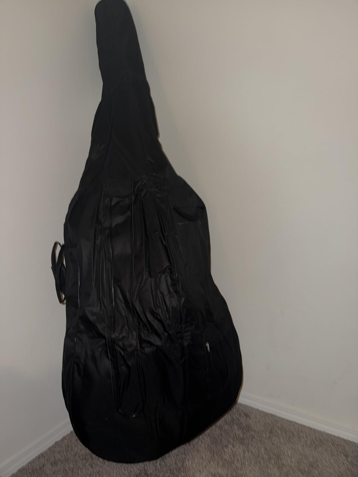 Vetimobato 3/4 Upright Double Bass Gig Bag - 600D Nylon Raincoat String Instrument Bag customer photo 1