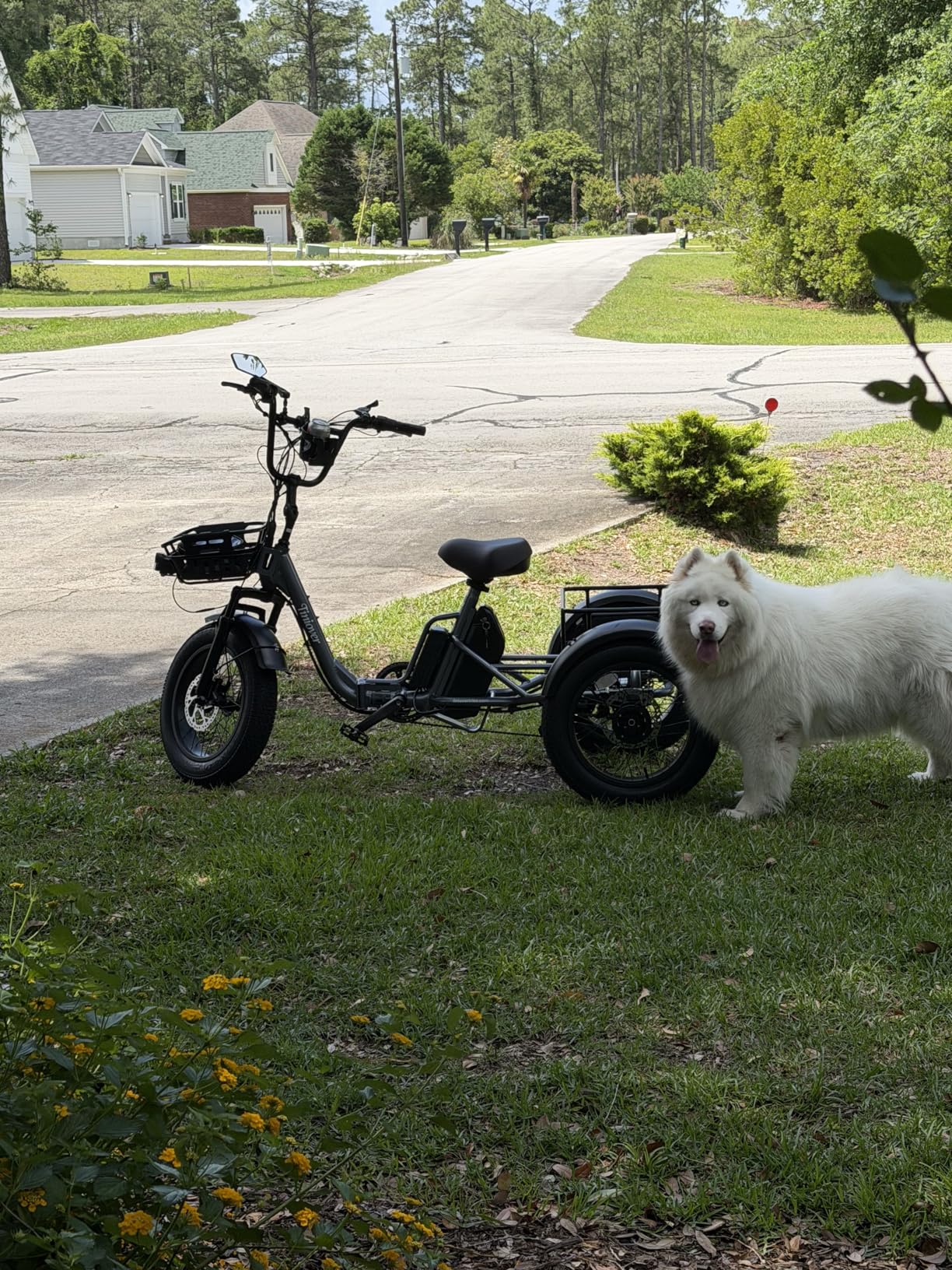 Folding Electric Tricycle for Adults 2 Seater, 20MPH 100 Miles 4