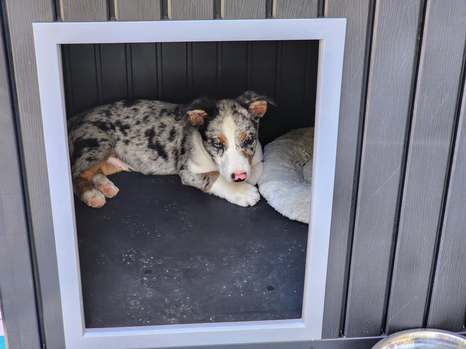 DRATO Dog House, Weatherproof Resin Outdoor Dog House for Large Dogs, Sloped Openable Roof, Air-Rod Support & Fixed Louvered Structure, Spacious Interior Easy Assembly Pet Shelter Indoor Outdoor (Grey) customer photo 2