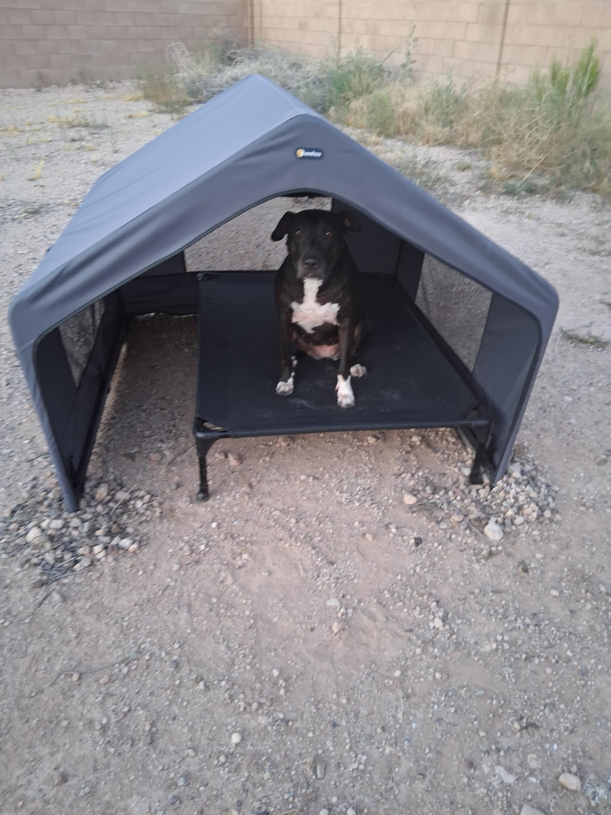 Veehoo Extra Large Dog House Outdoor with Elevated Dog Bed, Outside Dog Tent 4.1' x 4.1' x 3.3', Weatherproof Dog Shade Shelter and Raised Bed Combo for Pets or Stray Animals, Grey customer photo 1