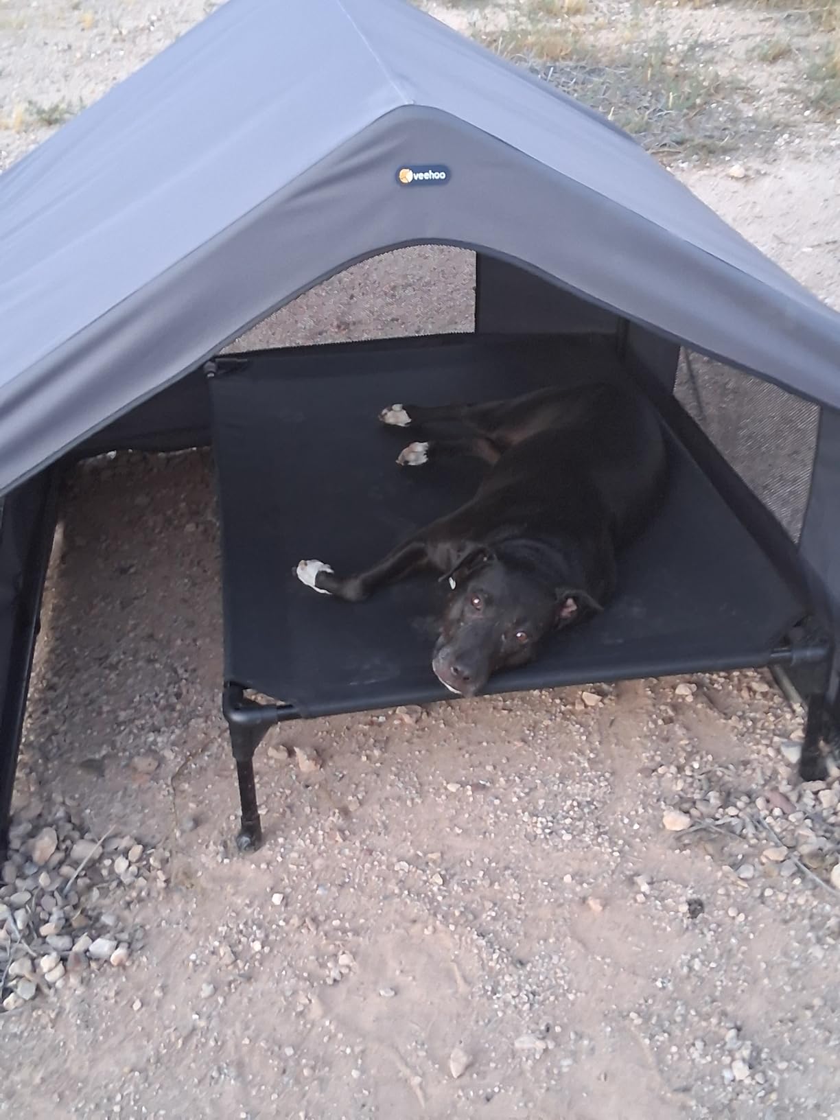 Veehoo Extra Large Dog House Outdoor with Elevated Dog Bed, Outside Dog Tent 4.1' x 4.1' x 3.3', Weatherproof Dog Shade Shelter and Raised Bed Combo for Pets or Stray Animals, Grey customer photo 2