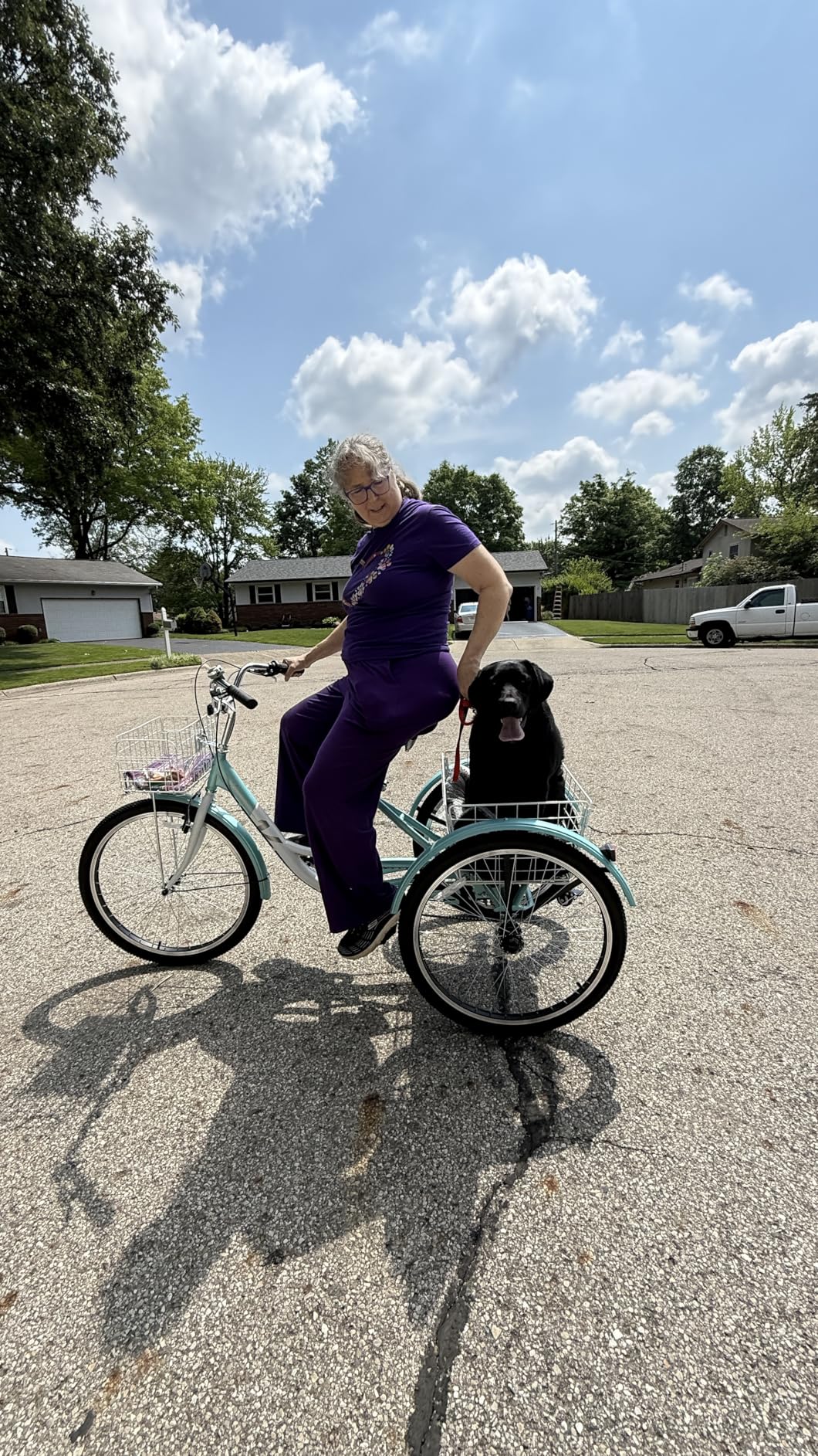 VIRIBUS Tricycle for Adults, 7 Speed Adult Tricycles with Front and Rear Removable Wheeled Baskets, 26 inch 400 lb Capacity customer photo 2