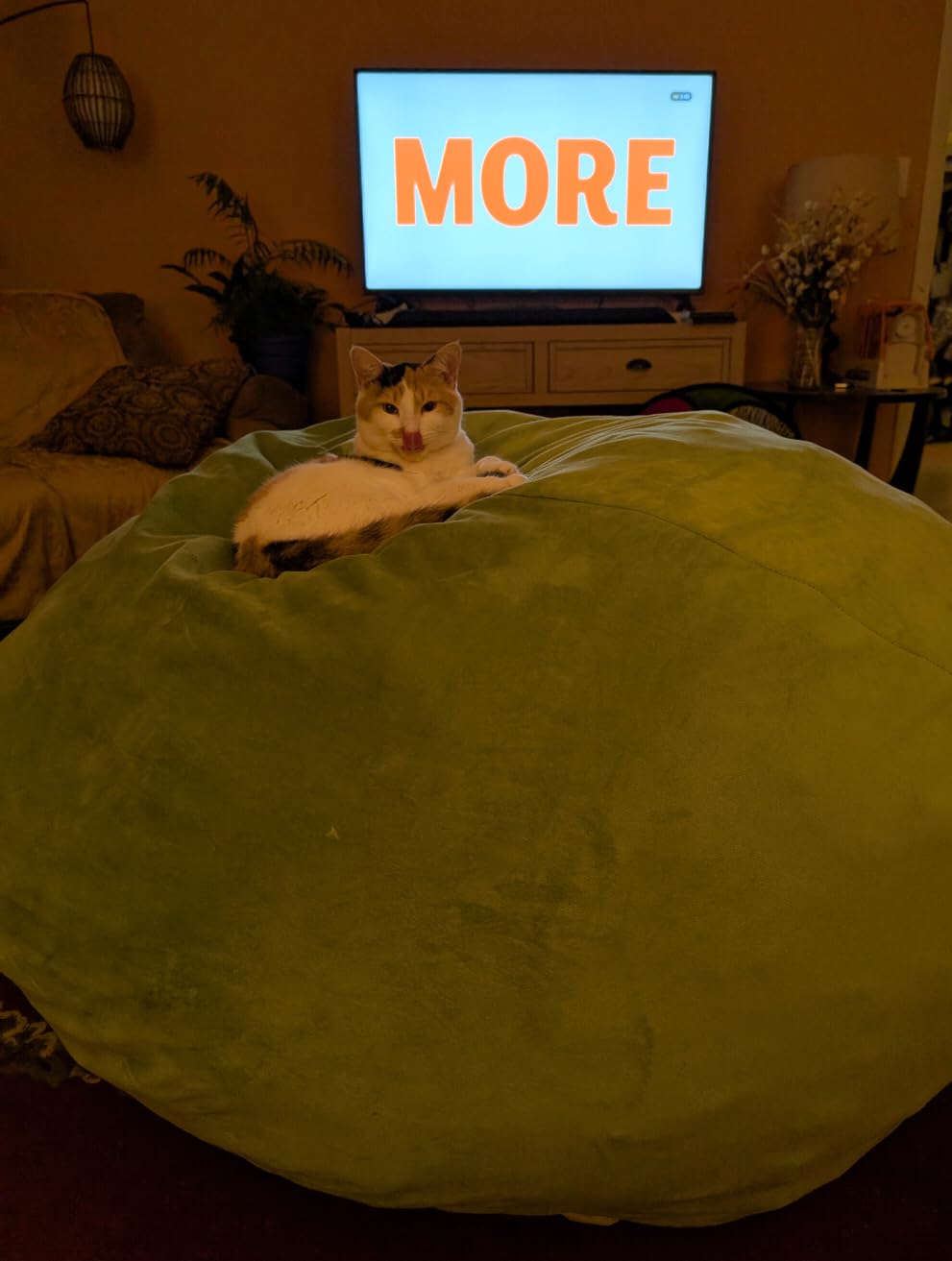 EDUJIN Bean Bag Chair, Memory Foam Bean Bag Chairs for Adults, Soft Velvet Cover, Stylish Beanbag Sofa for Living Room, Convenient Pocket & Pull-Handle Design - 3 Foot, Grey customer photo 2