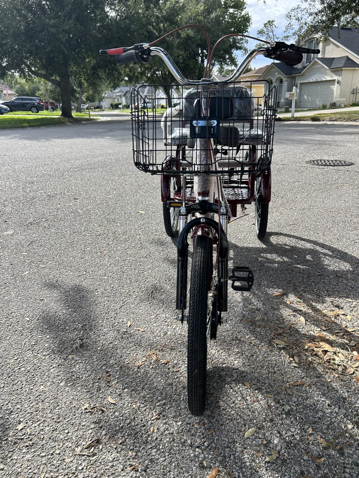MOOITZ Adult Tricycle, 20 Inch 3-Wheel Bikes, Low Step-Through Cruiser Bike with Front and Rear Baskets customer photo 1