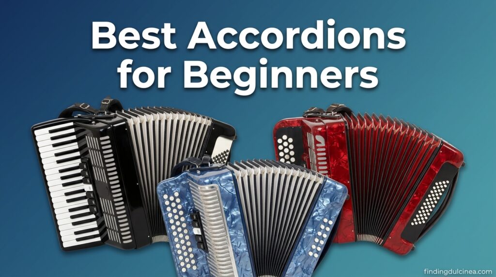Current image: Best Accordions for Beginners