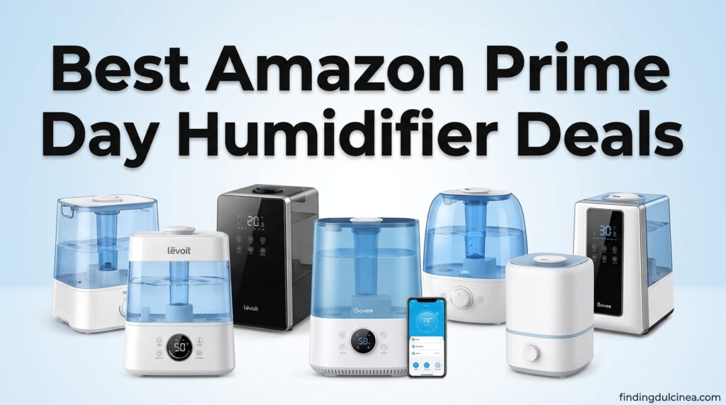 Current image: Best Amazon Prime Day Humidifier Deals