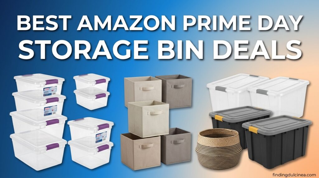 Current image: Best Amazon Prime Day Storage Bin Deals