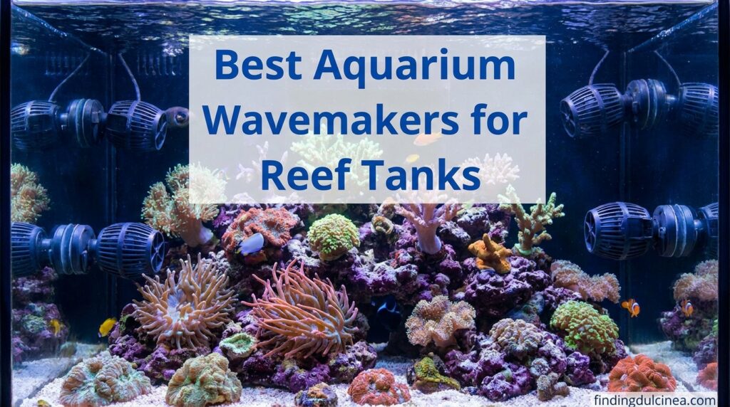Current image: Best Aquarium Wavemakers for Reef Tanks