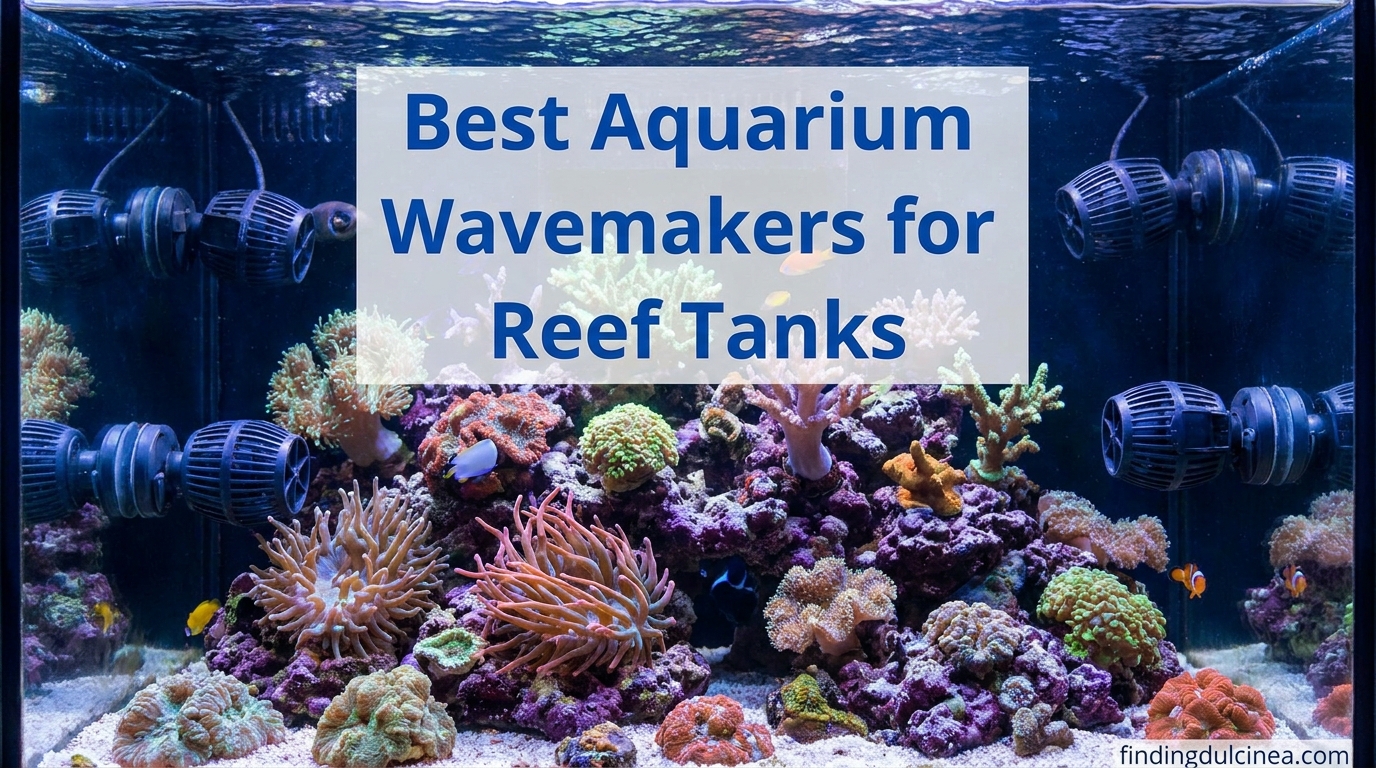 Best Aquarium Wavemakers for Reef Tanks