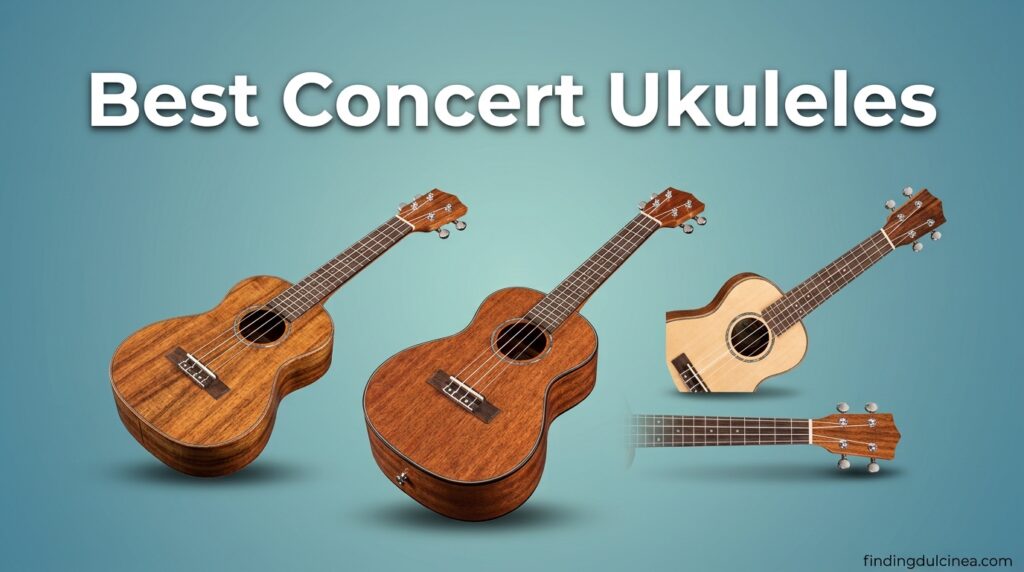Current image: Best Concert Ukuleles