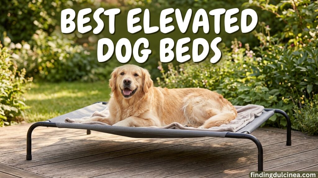 Current image: Best Elevated Dog Beds