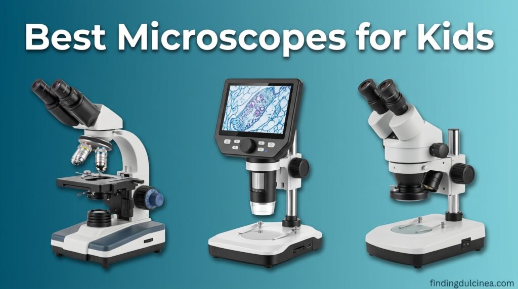 The current image has no alternative text. The file name is: Best-Microscopes-for-Kids.jpeg