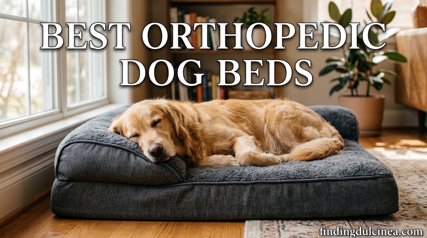 Best Orthopedic Dog Beds