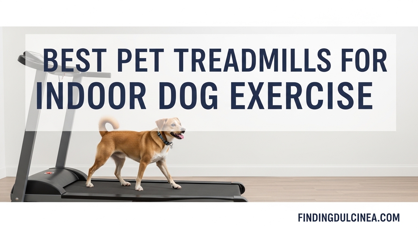 Best Pet Treadmills for Indoor Dog Exercise