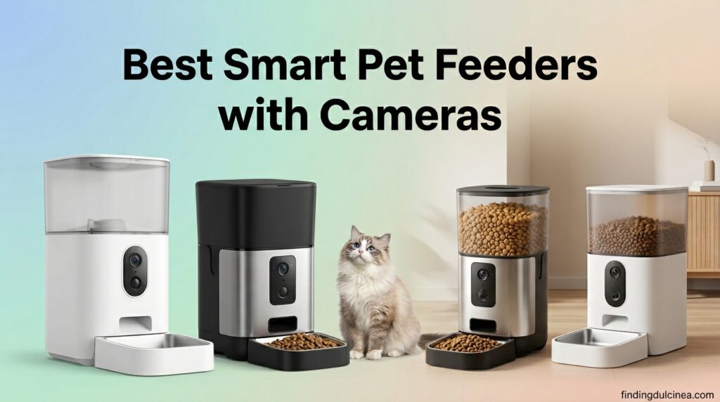 Current image: Best Smart Pet Feeders with Cameras