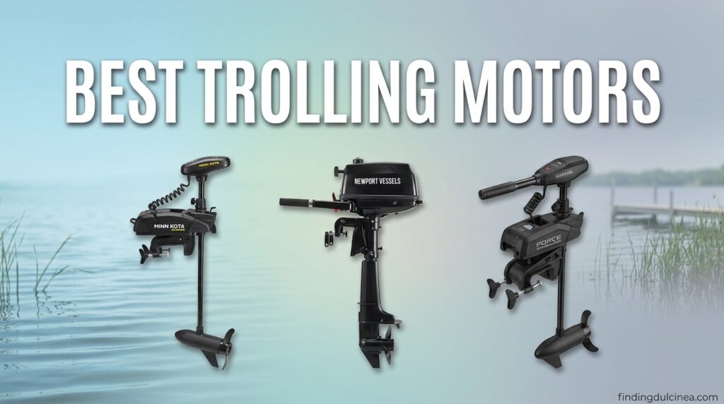 Current image: Best Trolling Motors