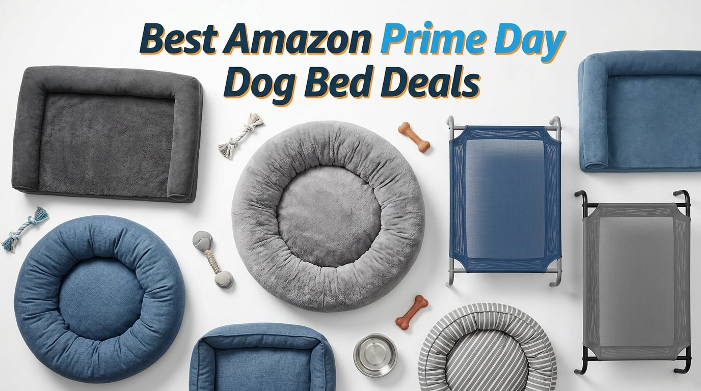 Best Amazon Prime Day Dog Bed Deals 2026