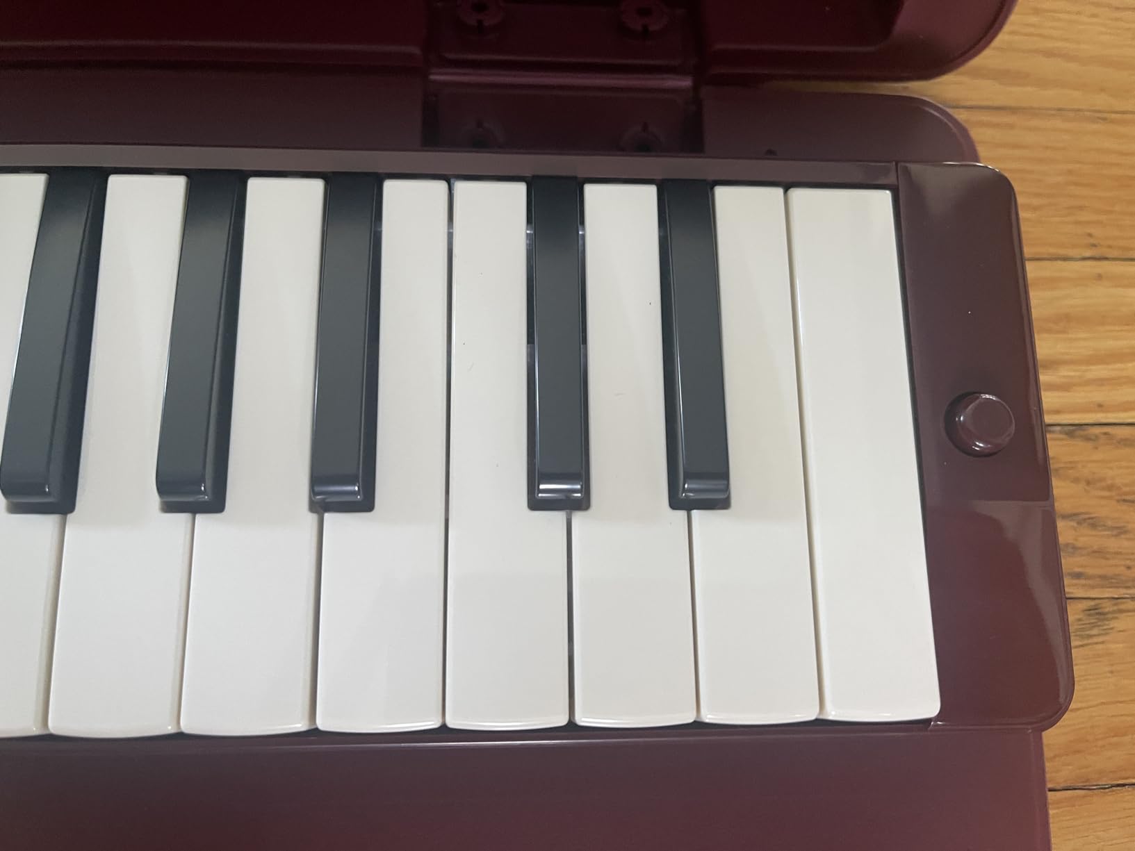 Yamaha P-37D 37-key Pianica customer photo 1