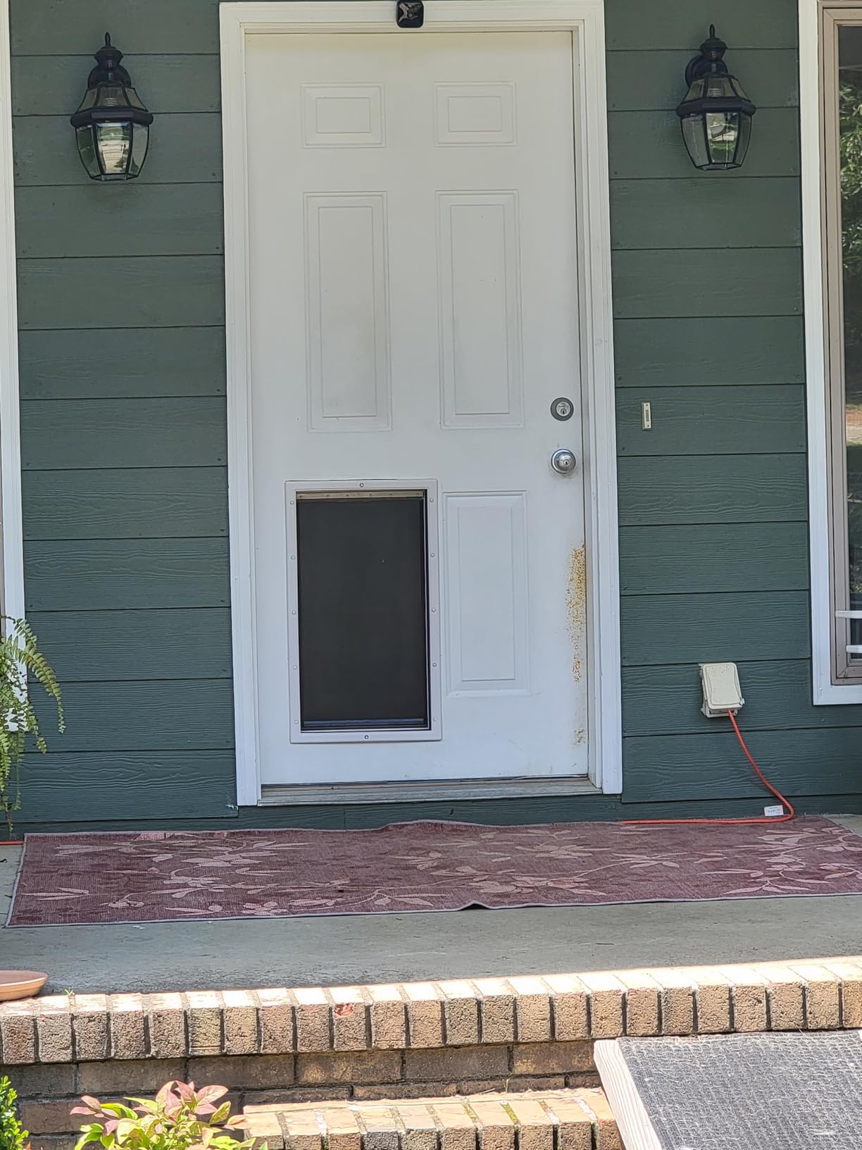 PetSafe Never Rust Dog & Cat Plastic Door, X-Large, for Pets Up to 220 lb, Paintable, Easy DIY Installation, Closing Panel Included, Install in Interior & Exterior Doors or Walls, Durable customer photo 2