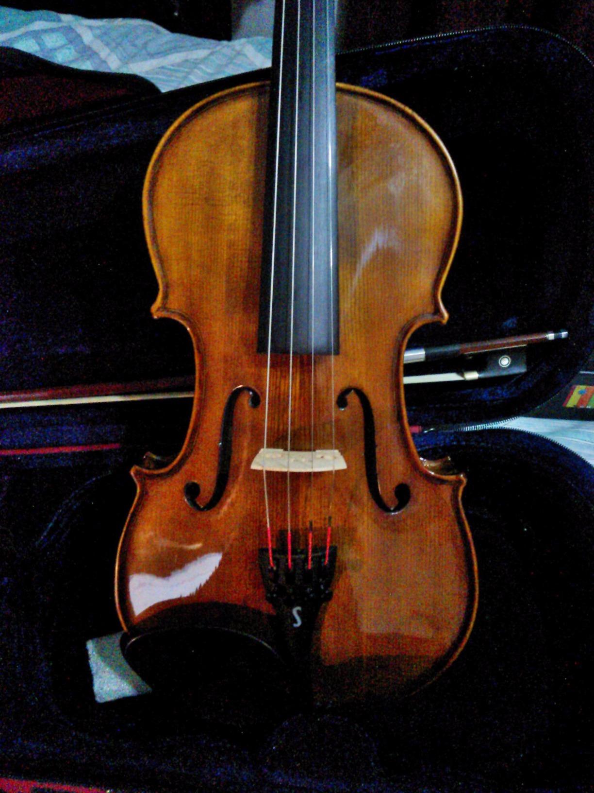 Stentor 1500 4-String Violin customer photo 1
