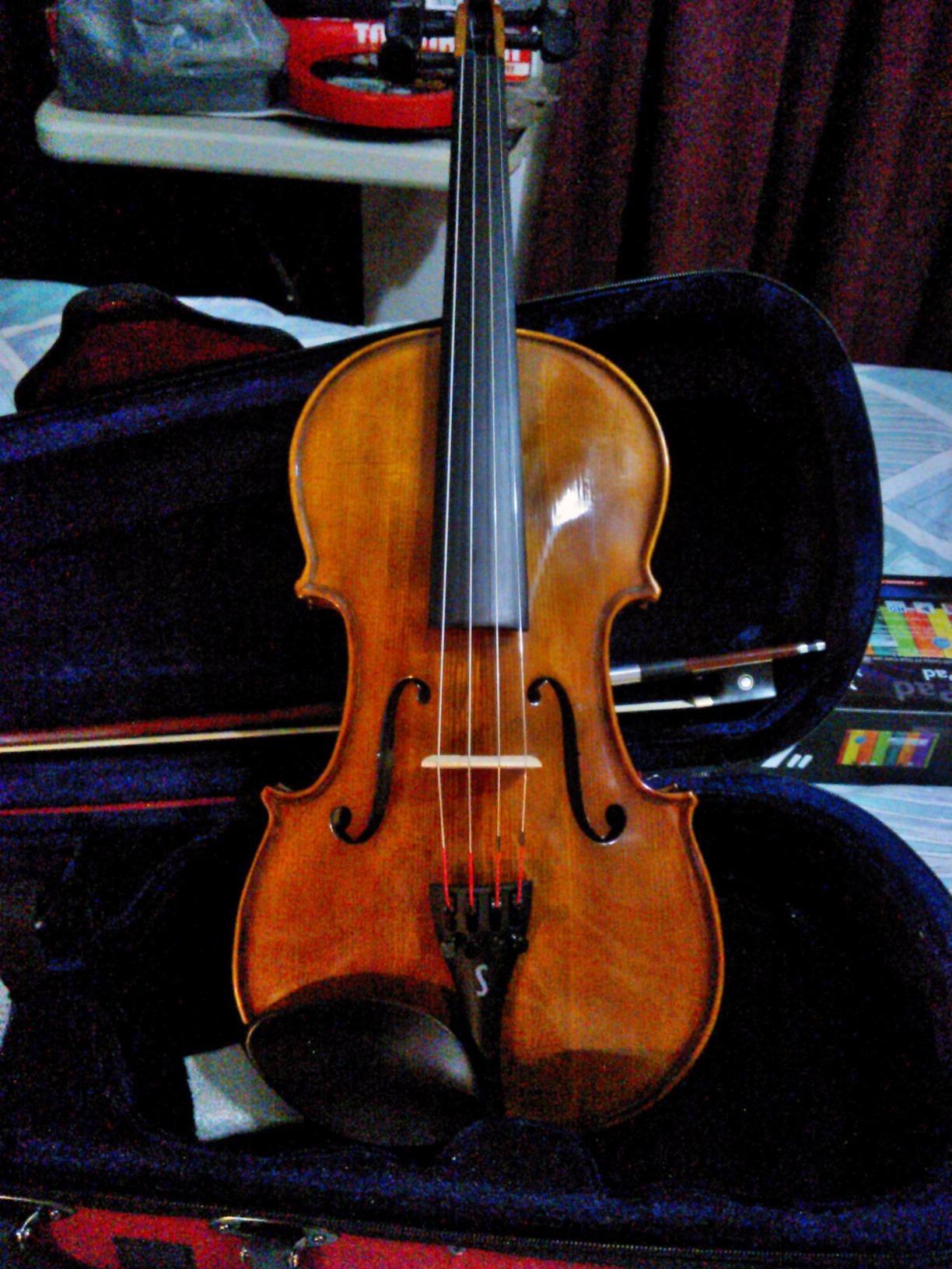 Stentor 1500 4-String Violin customer photo 2