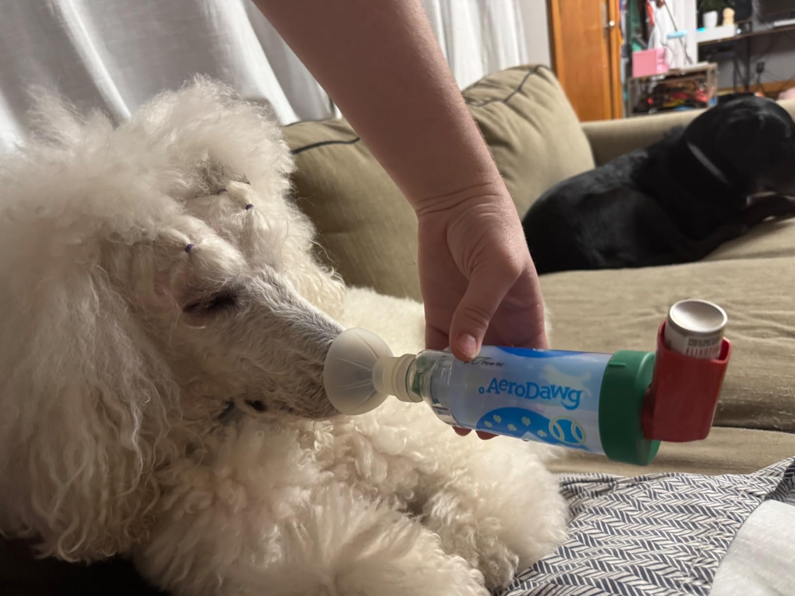 AeroDawg The Original Canine Aerosol Chamber Inhaler Spacer for Small Dogs and Puppies with Exclusive Flow-VU* Indicator customer photo 1