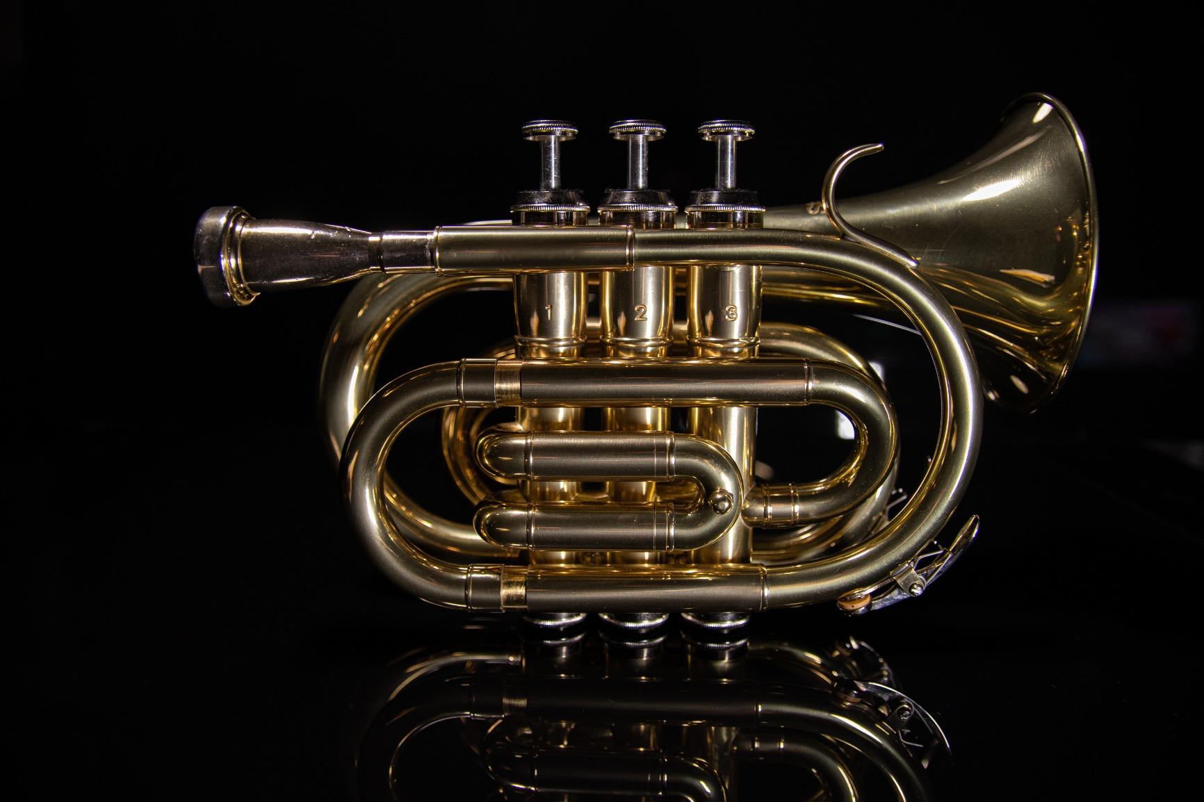 Stagg WS-TR245 Bb Pocket Trumpet with Case customer photo 1