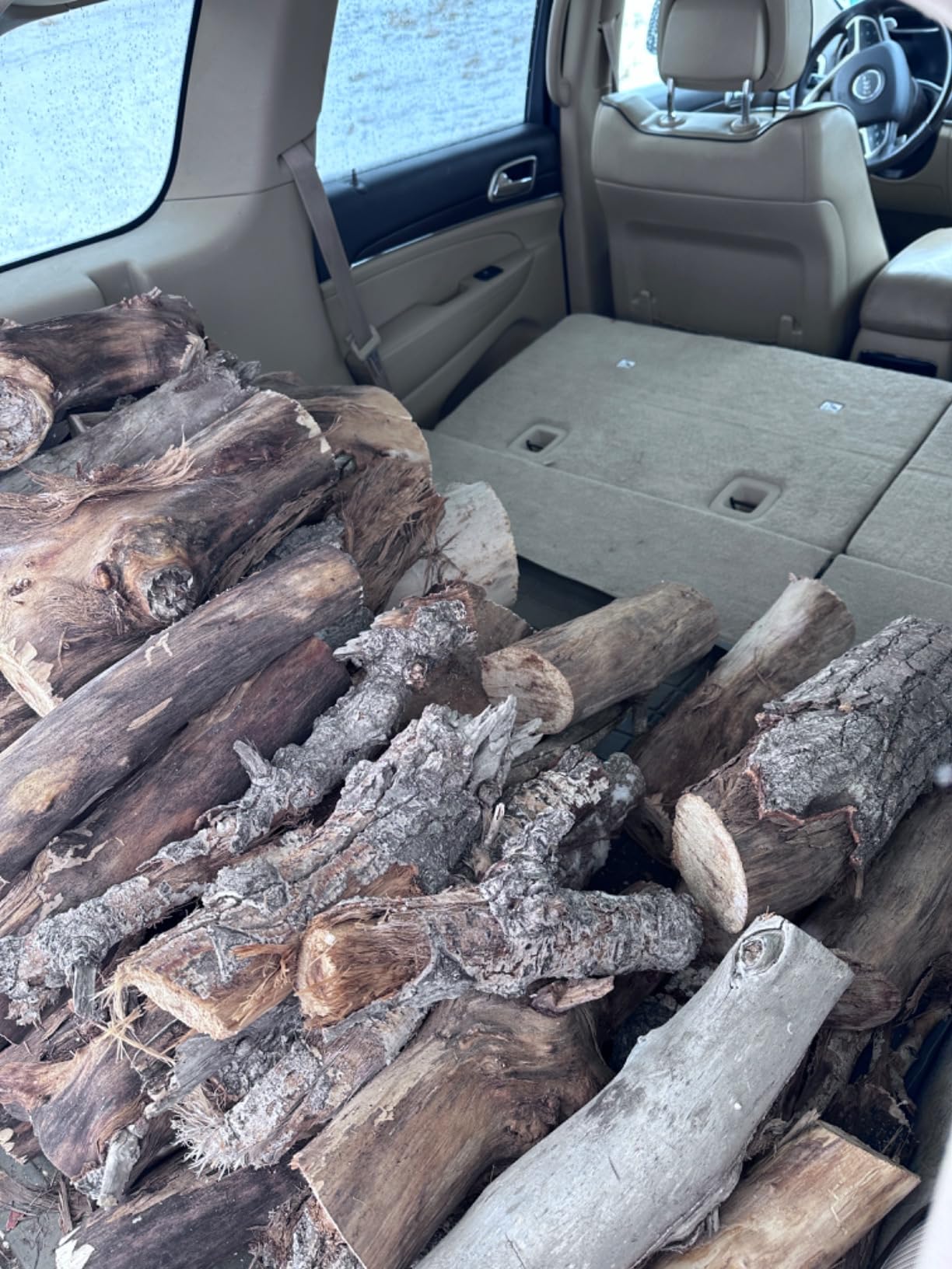 DEWALT 20V MAX 12-Inch Compact Cordless Chainsaw Kit, 5Ah Battery (DCCS620P1) customer photo 2