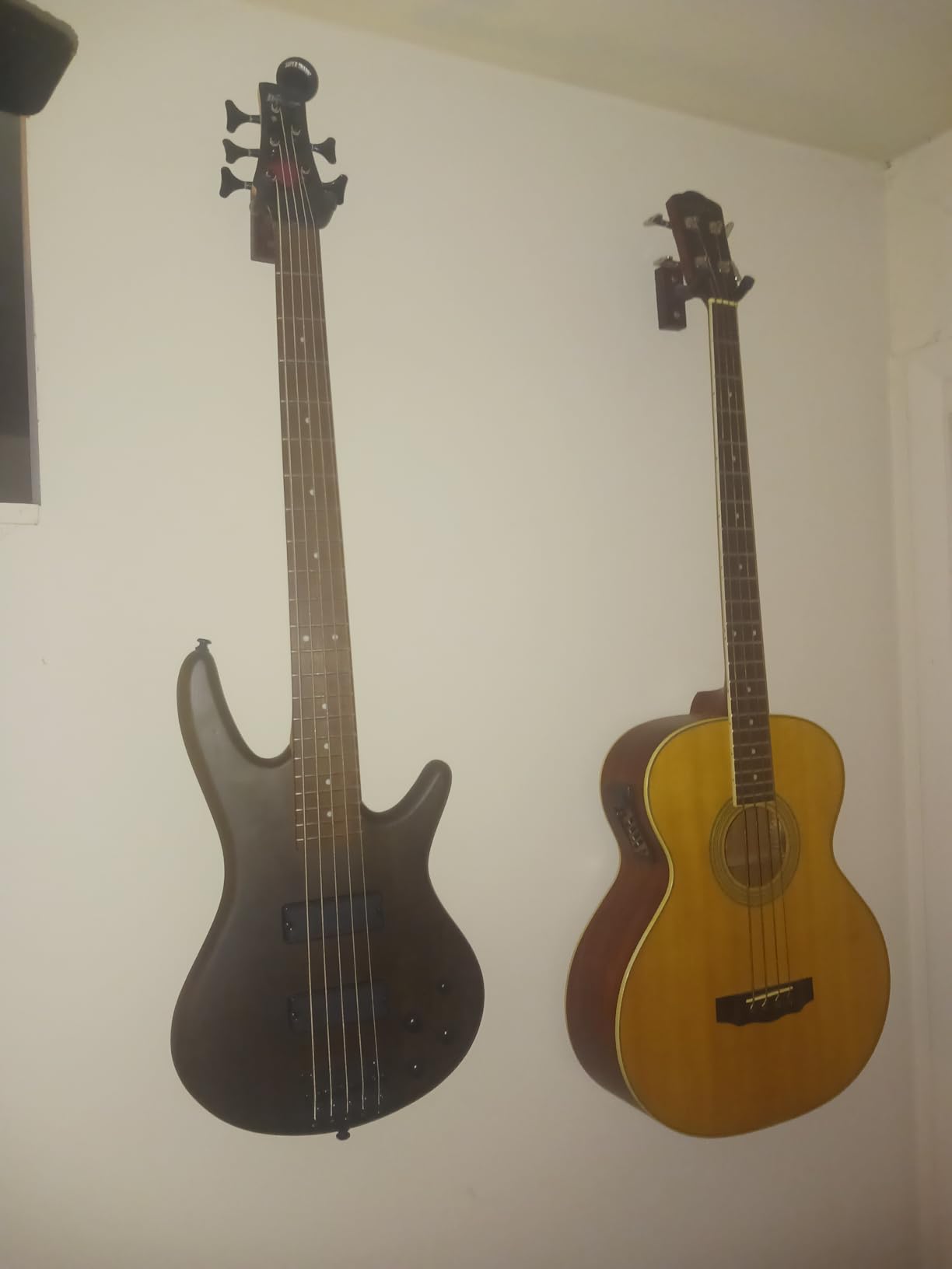 Ibanez GSR205SMNGT 5-String Bass Guitar - Spalted Maple Top Natural Grey Burst customer photo 1
