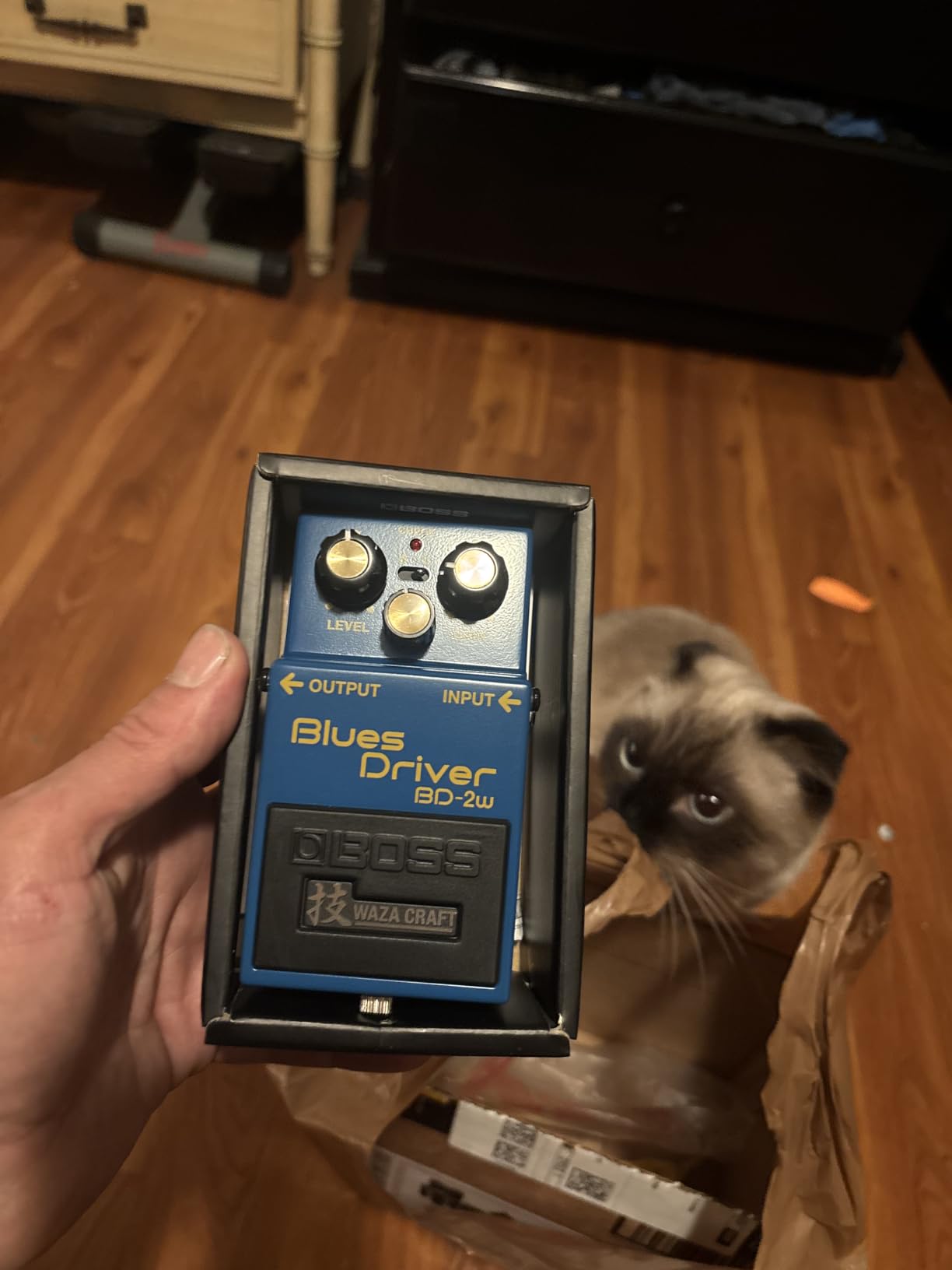BOSS VB-2W Vibrato | Premium Waza Craft Guitar Effect Pedal with Analog Circuitry customer photo 2