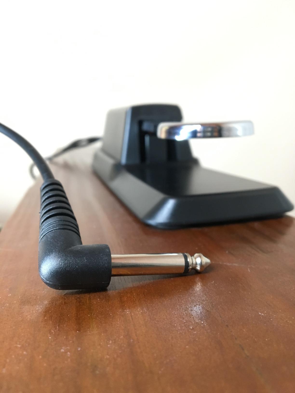 Donner DSP-001 Sustain Pedal for Keyboard, Universal Piano Pedal with Polarity Switch for Digital Piano/Piano Keyboard/MIDI KeyboardSynthesizer, 1/4'' (6.35mm) Input Plug, 63'' (1.6m) Cable customer photo 1