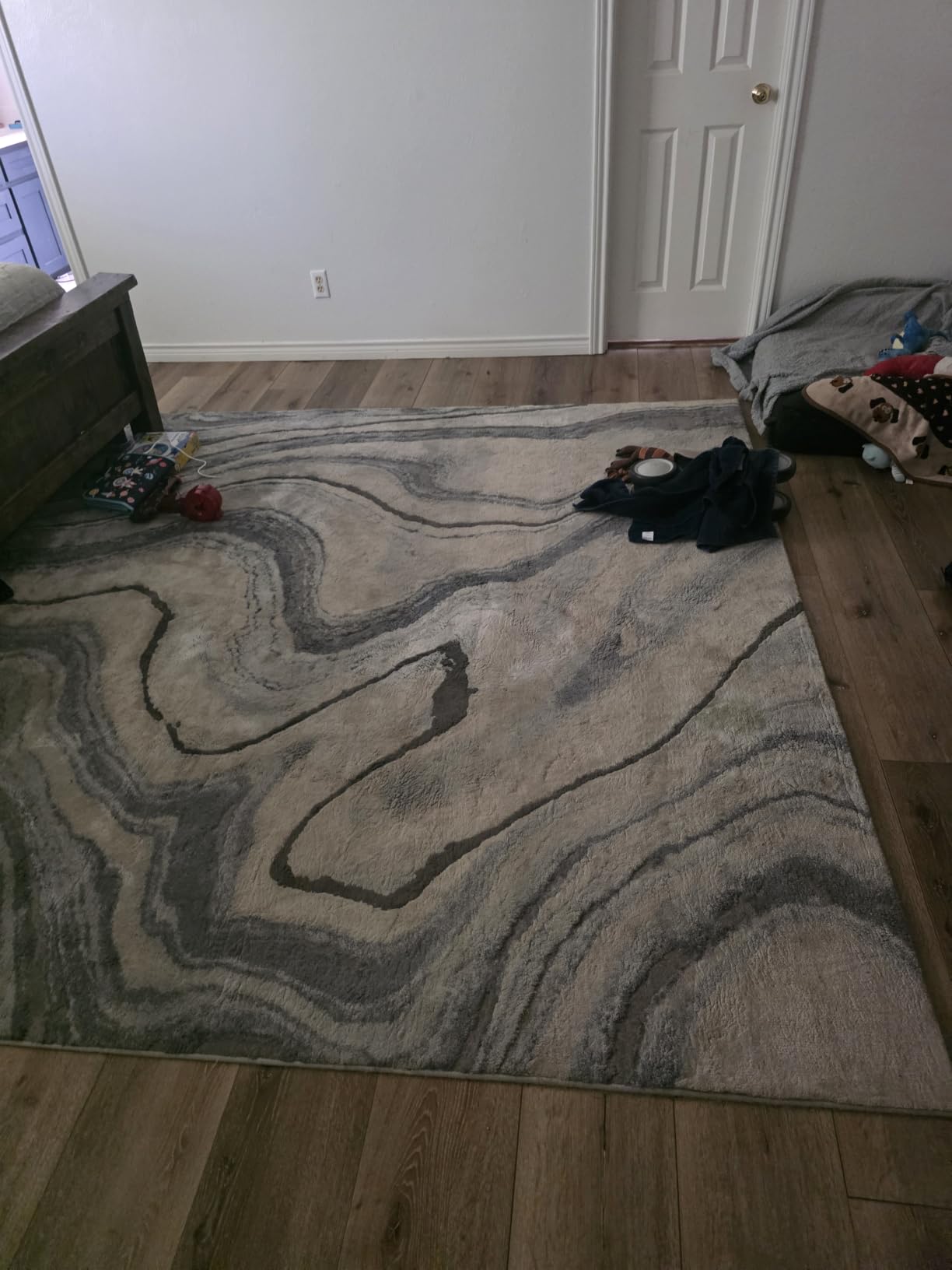 Bissell SpotClean Pet Pro Portable Carpet Cleaner, 2458 customer photo 2