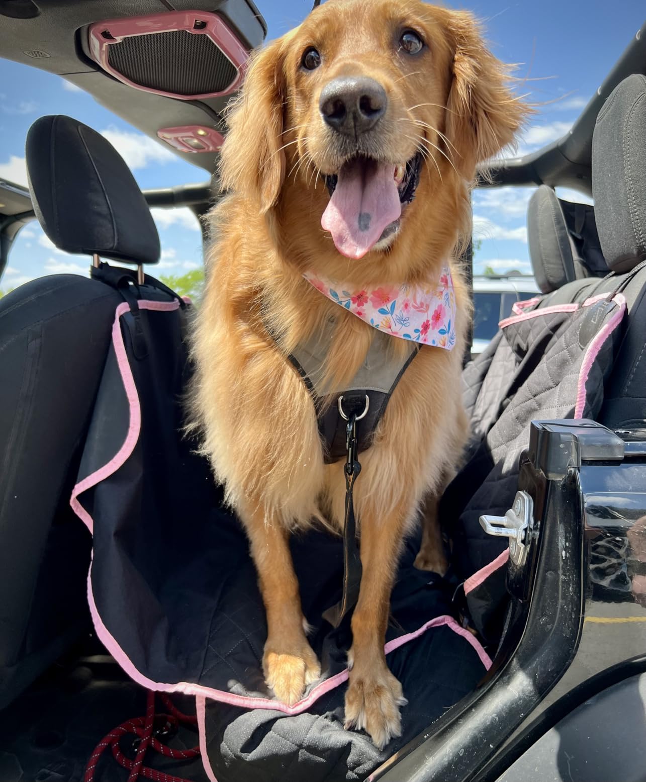Active Pets Black Standard Dog Car Hammock Back Seat Cover, Waterproof Backseat Cover Protector for Truck Bench Rear of Sedans or SUVs, Essential Pet Supplies Vacuum or Wipe Clean, Machine Washable customer photo 2