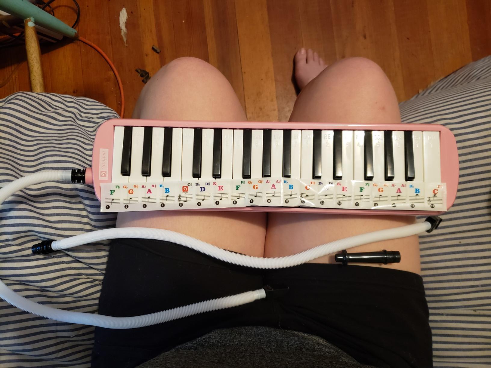 Vangoa 32 Key Melodica, Musical Instrument Air Piano Keyboard, Melodicas with Carrying Bag, Pianica Double Mouthpieces, Wipe Cloth, Key Stickers, Long Tubes (Blue) customer photo 1