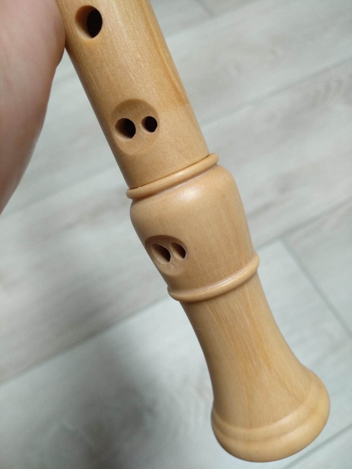 Eastar Soprano Beginners Recorder Baroque Fingering C Key Maple Descant Recorder, ERS-31BM, 3 Piece with Hard Case customer photo 2