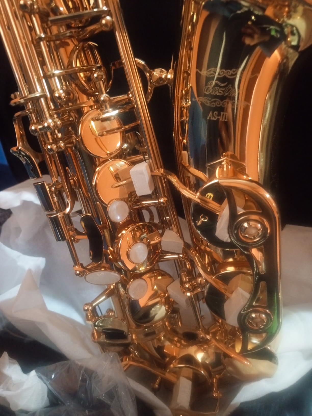 Eastar Alto Saxophone Antique Finish Bronze Vintage Sax Eb E-flat Student Beginner with Case, Mouthpiece, Straps, Reeds, Saxo Stand, Cleaning Kit, AS-II-Ab customer photo 2