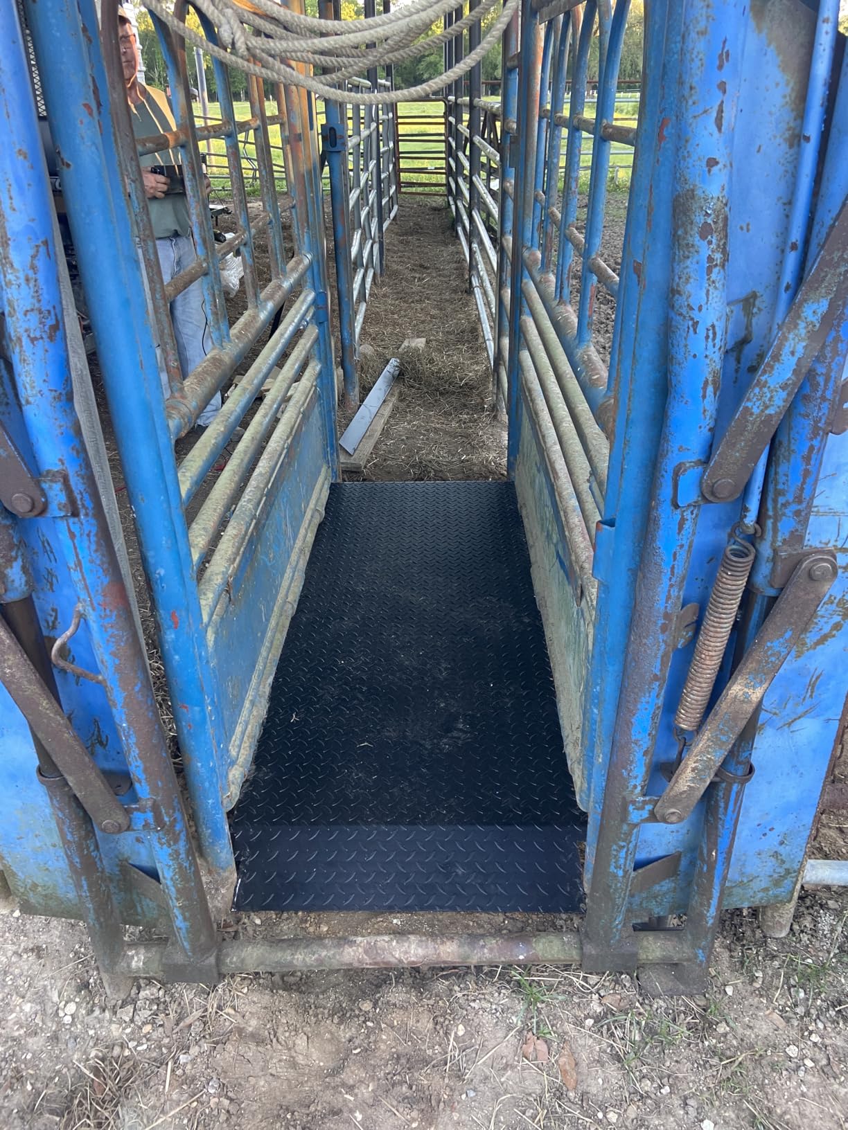 PEC Livestock Scale-Cattle Alleyway Scales with Two ramps, Animal Weighing Equipment with Indicator for Large-Sized Animals, 4000x0.5lbs lb/86x30 inch customer photo 2