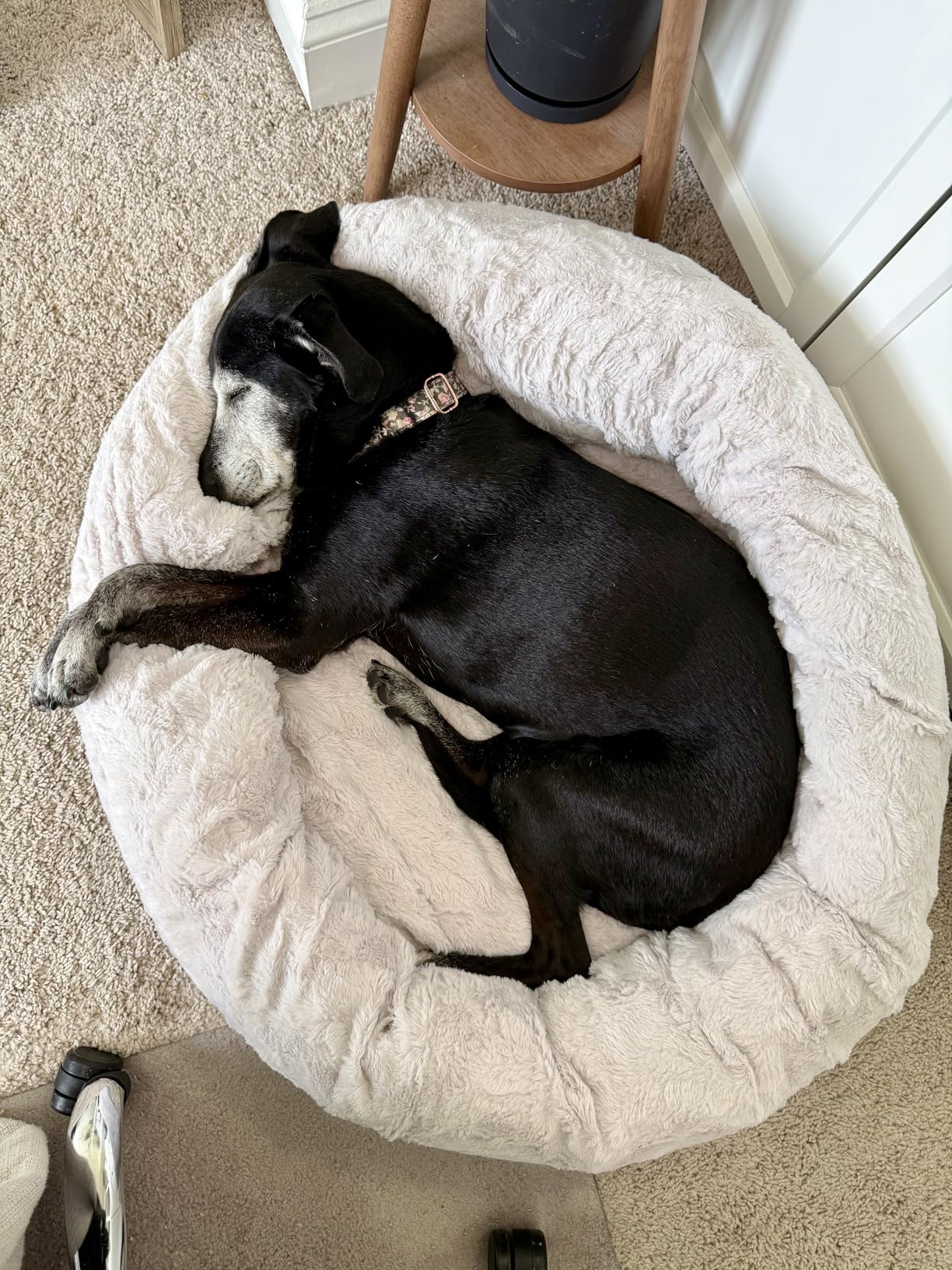 Best Friends by Sheri The Original Calming Donut Dog Bed for Large Dogs up to 100 lbs, Lux Faux Fur, Oyster, Large, 36