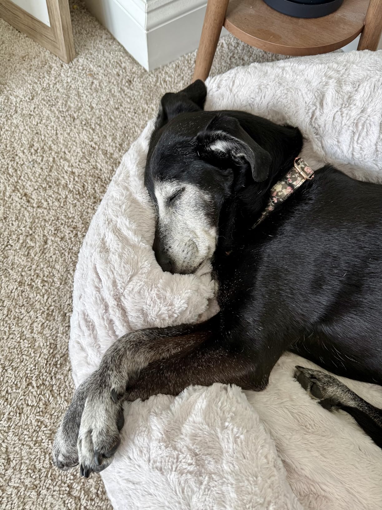 Best Friends by Sheri The Original Calming Donut Dog Bed for Large Dogs up to 100 lbs, Lux Faux Fur, Oyster, Large, 36